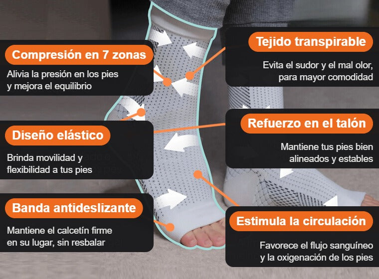 Características de NeuroFit